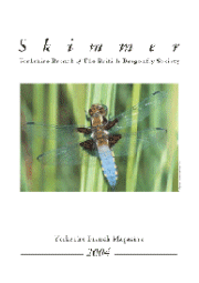 Skimmer Magazine 2004