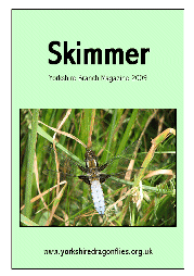 skimmer2009