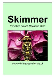 skimmer13cover