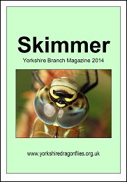 skimmer14cover